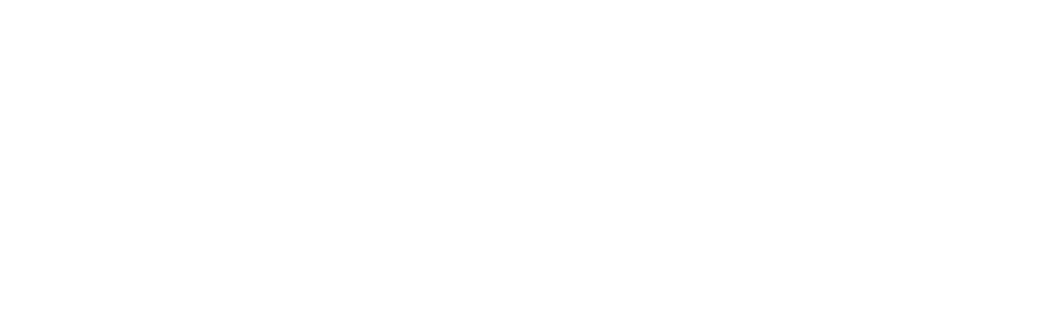 LOGO 381X72