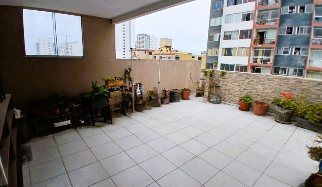 11. TERRAZA
