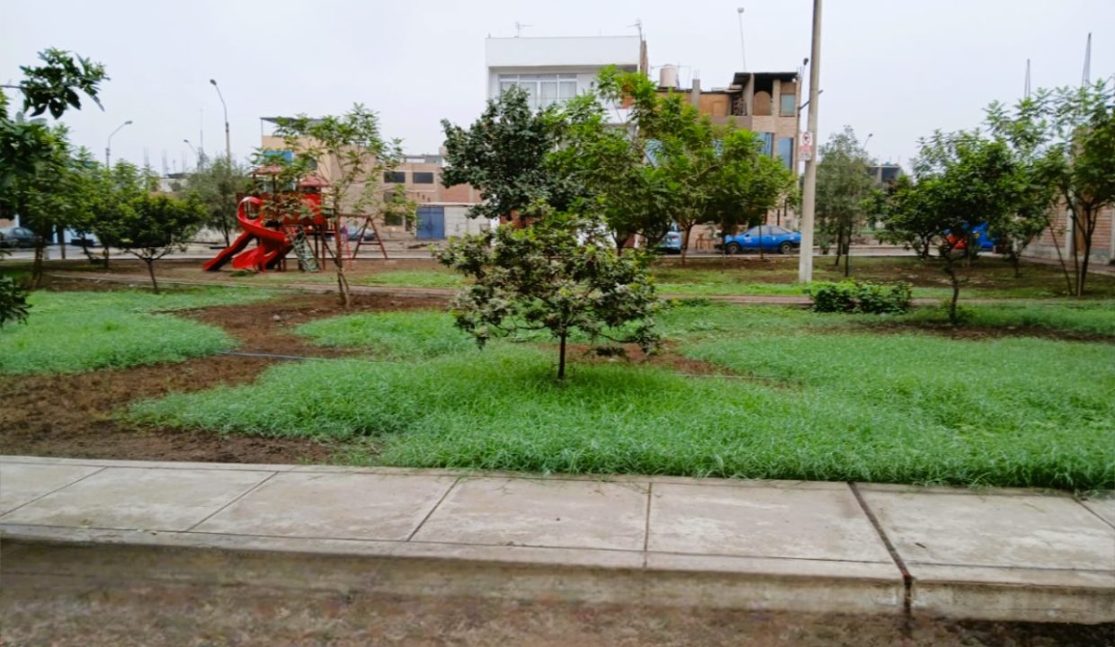 14. 2DO PARQUE 1
