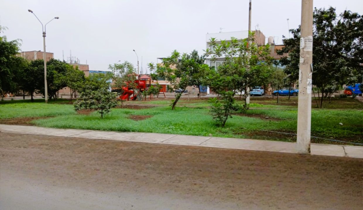 15. 2DO PARQUE 2
