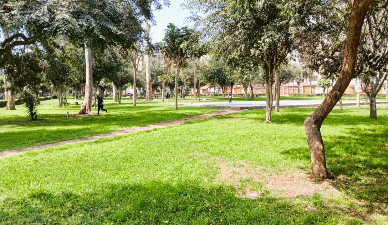17. PARQUE ASTURIAS